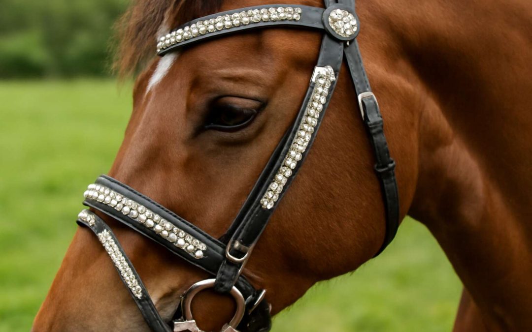 How to Bling Horse Tack: Stunning Tips to Add Sparkle and Style to Your Horse Equipment