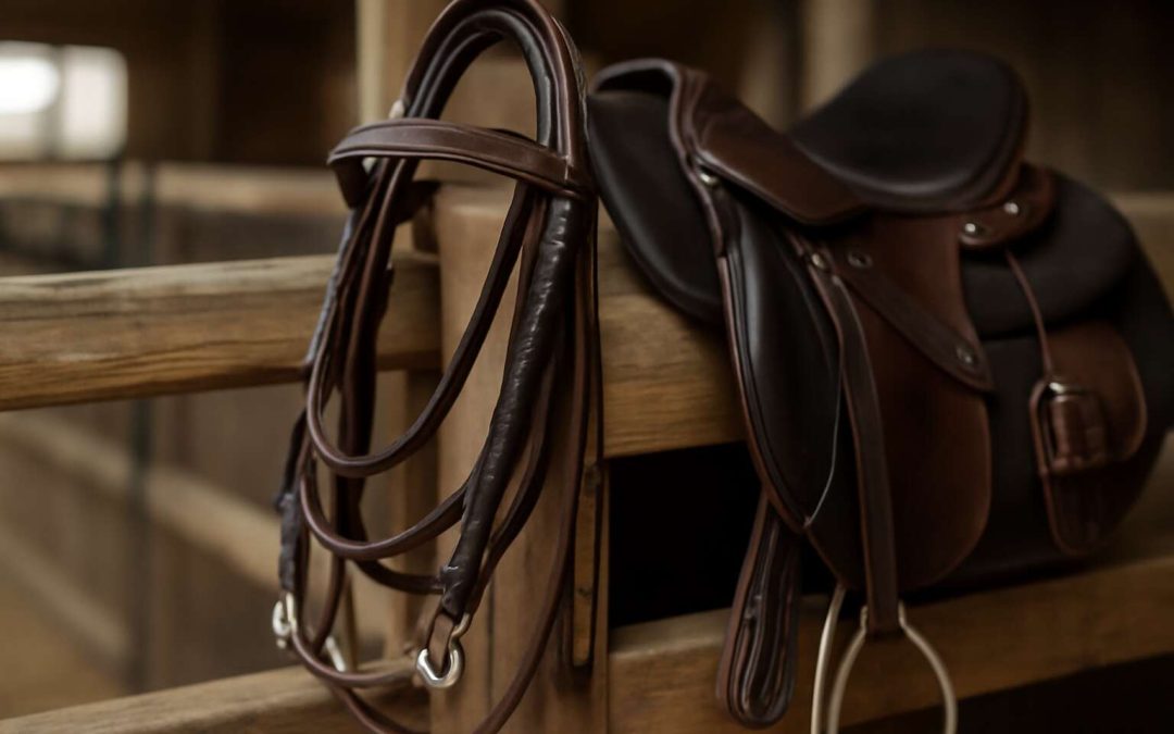 Discover the Essential Functions of Horse Tack: What Is Horse Tack Used For?