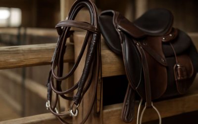 Discover the Essential Functions of Horse Tack: What Is Horse Tack Used For?
