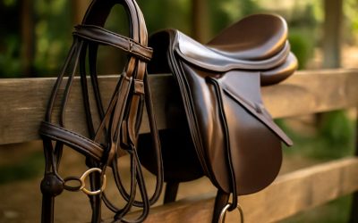 Discover Top-Quality Horse Tack Equipment to Elevate Your Equine Riding Experience Today