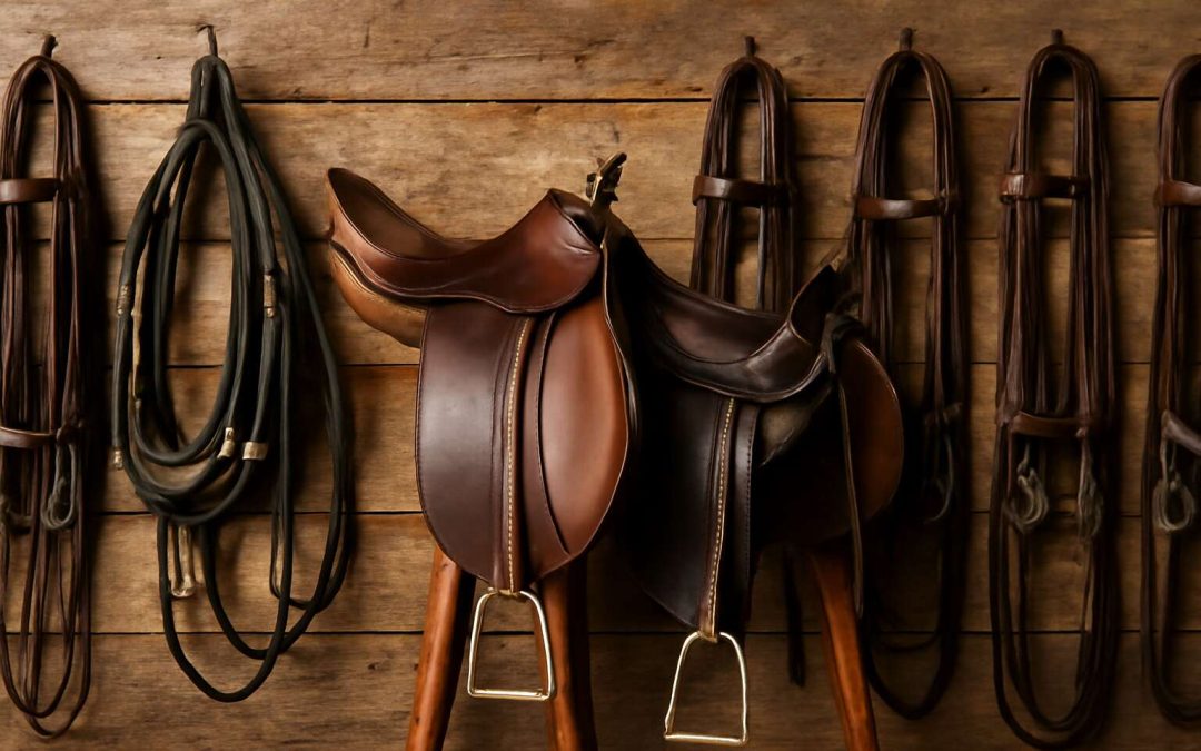 Discover the Beauty of Equestrian Elegance with Stunning Horse Tack World Photos