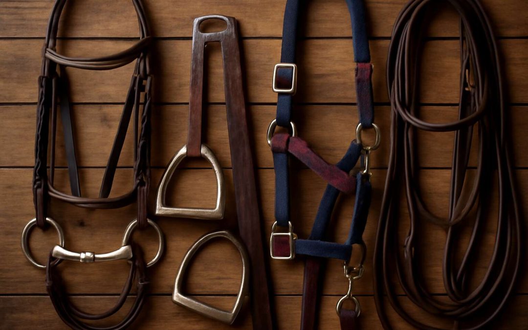 Test Your Knowledge with This Fun and Challenging Horse Tack Identification Quiz!