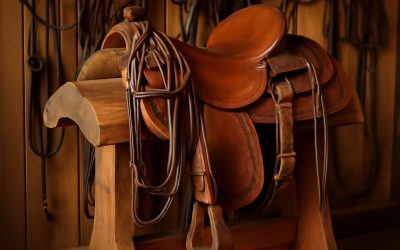 Discover Top-Quality Horse Tack OKC for Every Equine Enthusiast Today!