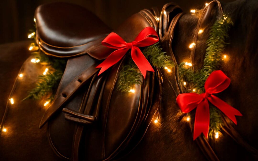 Gift Guide: horse tack for christmas ideas to delight every horse lover
