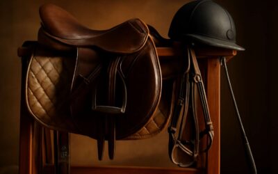 Master the sport with horse riding equipment terms every rider should know