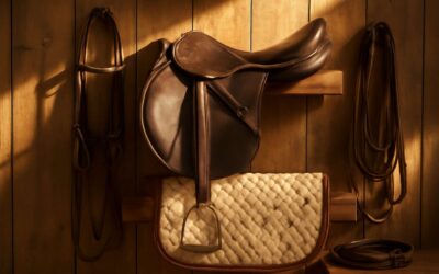Master the Basics: horse tack terminology for riders
