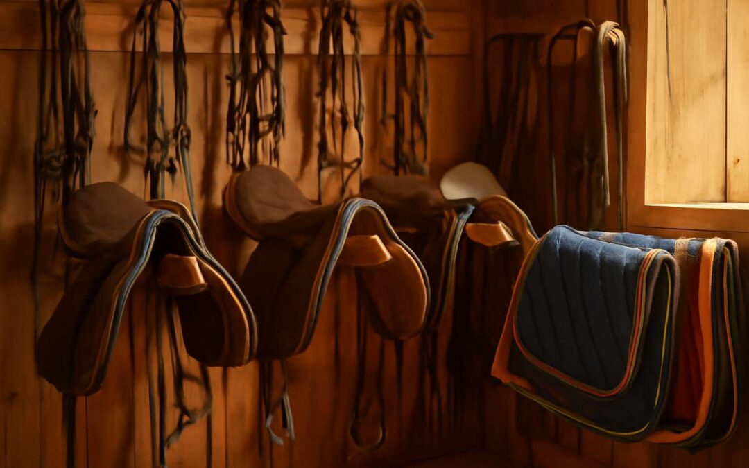 Shop Smart with horse tack second hand: Top Picks for Budget-Buy Riders!