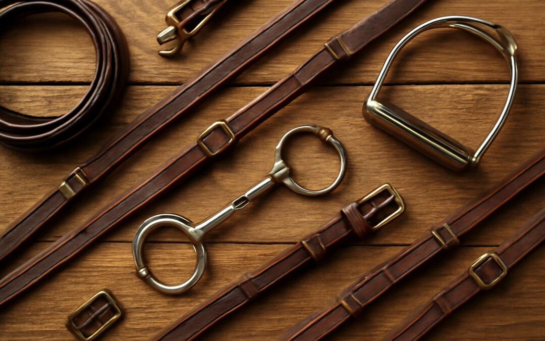 Mastering horse tack parts: A Quick Guide for Equestrian Essentials
