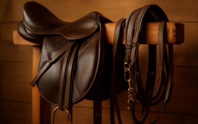 Your ultimate horse tack guide: essential gear, fit tips, and rider confidence