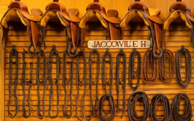 Discover top gear: horse tack jacksonville fl for every rider.