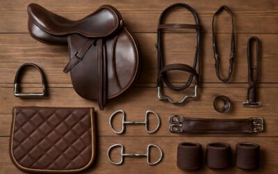 Discover horse gear names and pictures: a visual guide to tack essentials.