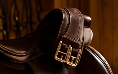 Choosing the perfect horse tack girth for comfort and performance