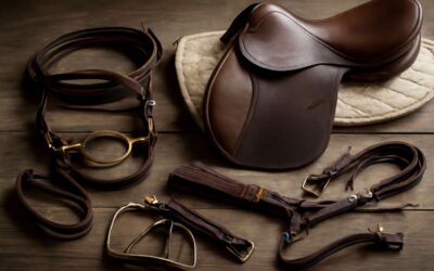 Unlock horse tack vocabulary: Essential terms every rider should know