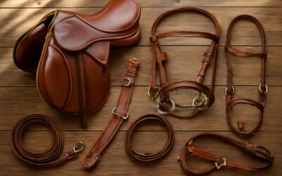 Discover horse isle 1 tack: The Ultimate Gear Guide for Riders