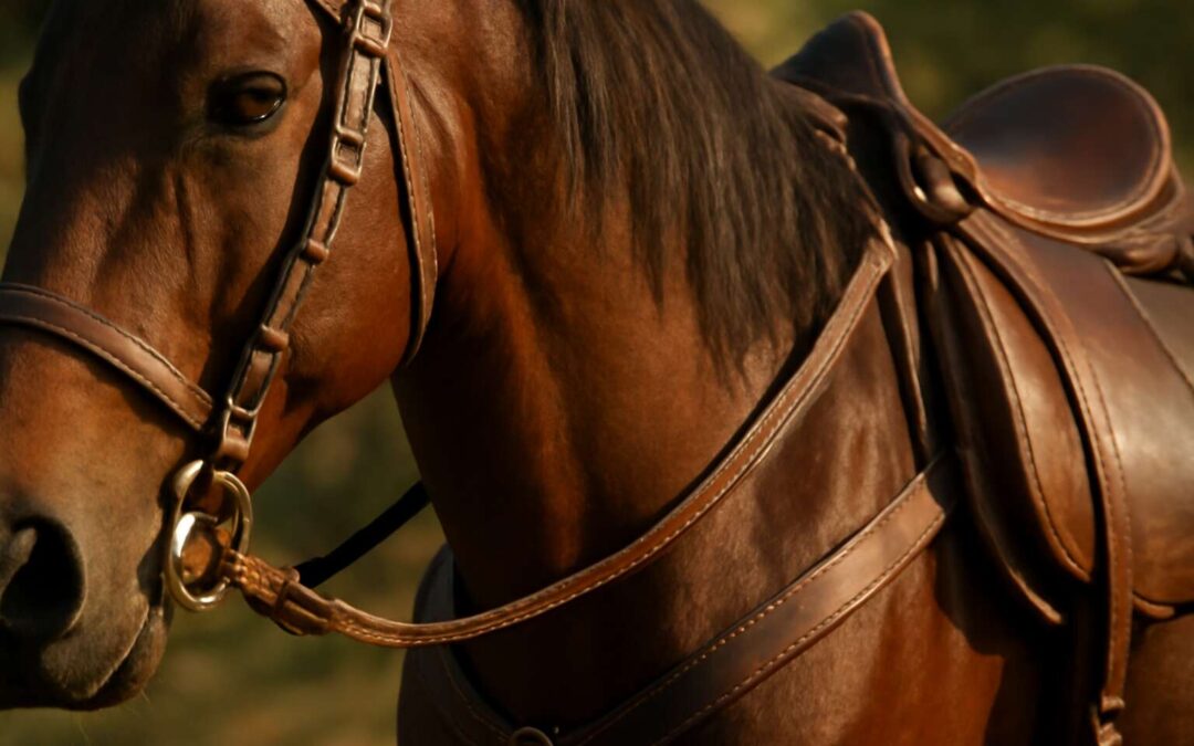 Master Your Ride: best horse gear in kingdom come deliverance for epic battles