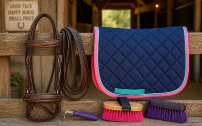 Find quality horse tack under $25 for every riding need.