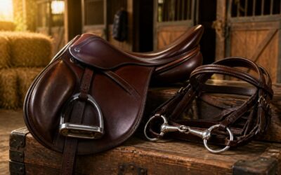 Horse tack used demands careful inspection before purchase.