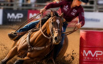 Essential Horse Tack for Barrel Racing, Improve Every Run